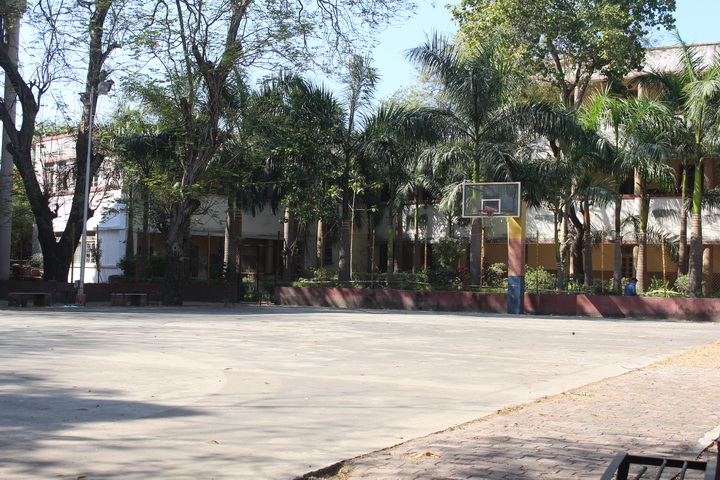 Basket Ball Court 1